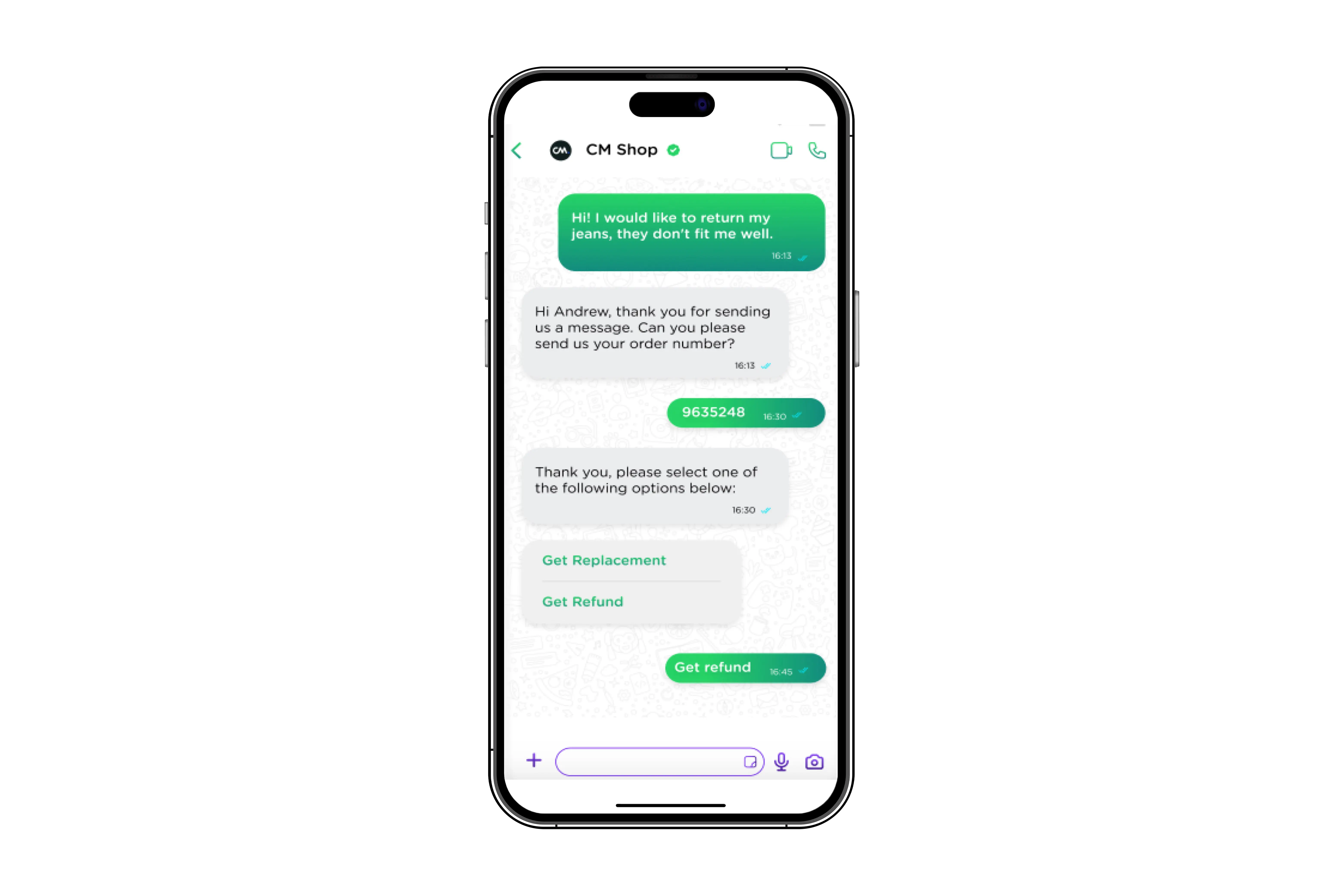 Chatbot Interface